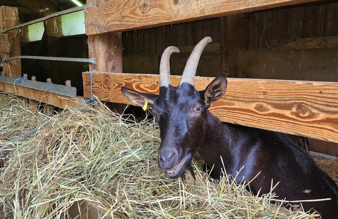 Ferme du Crabé(1)